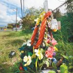 Five pedestrians have died on roads so far this year
